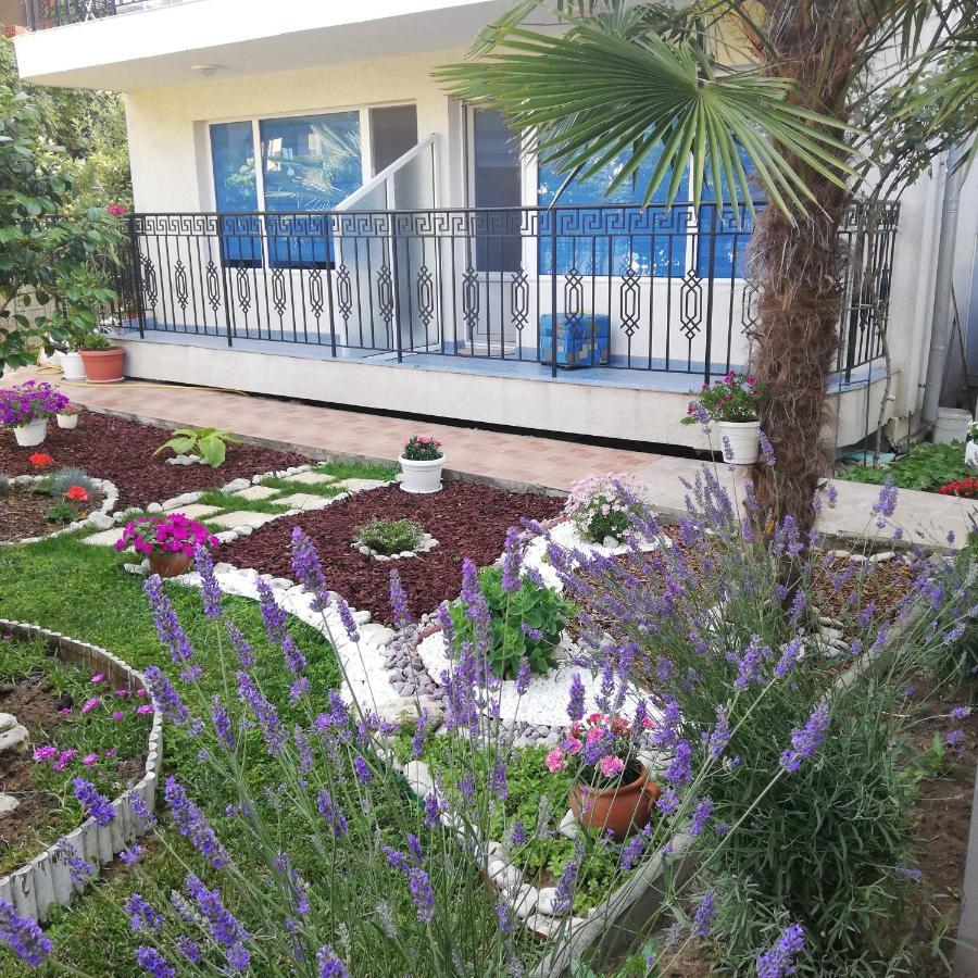 Albatros 2 Family Hotel Kiten  Zewnętrze zdjęcie