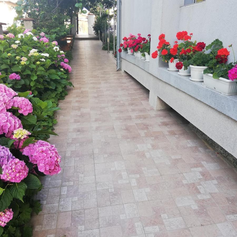 Albatros 2 Family Hotel Kiten  Zewnętrze zdjęcie