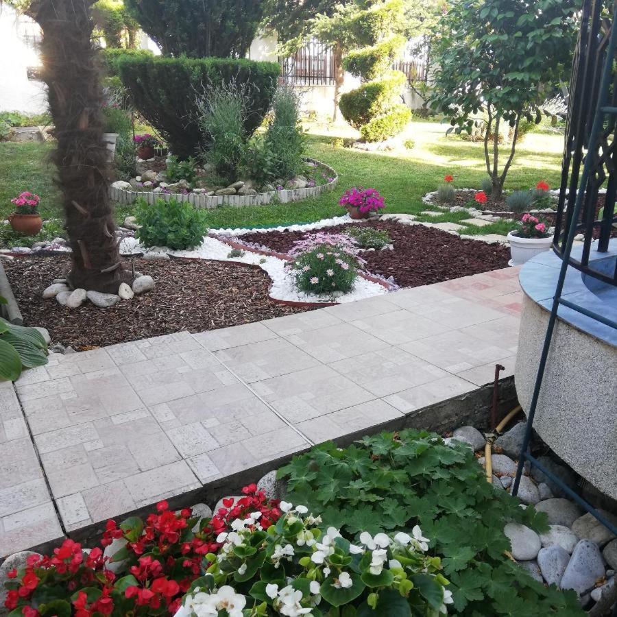 Albatros 2 Family Hotel Kiten  Zewnętrze zdjęcie